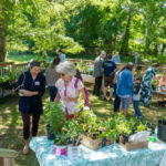 Folks shopping at the outdoor plant sale